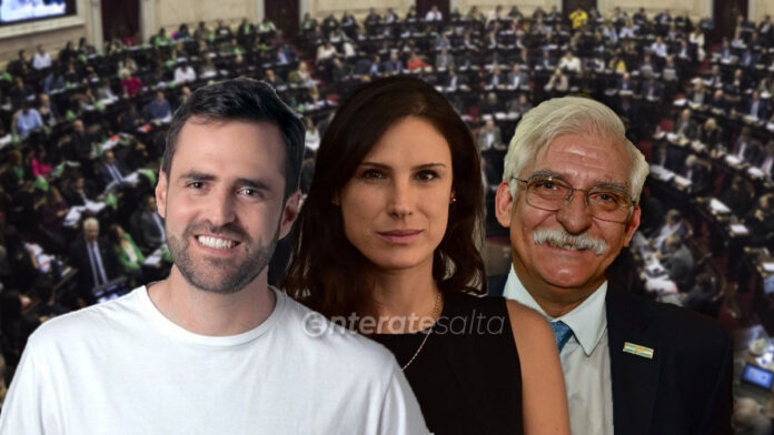 Los nuevos diputados nacionales por Salta