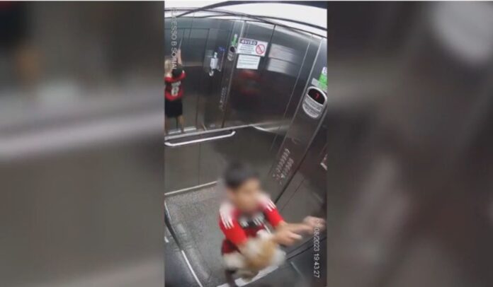 Video desesperante: nene de 11 años salvó a su perrita de morir ahorcada en el ascensor