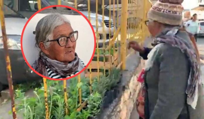 ¡Una hermosa noticia!: Jubilarán a la abuelita salteña que conmovió al país